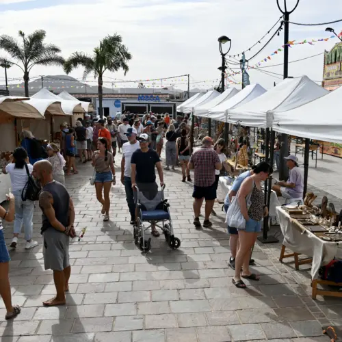 iStock-2186511527 Kopiela olivalajares_result